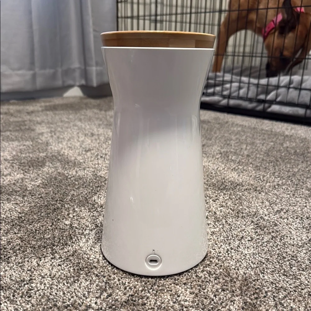 Furbo dog camera